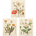Miniatyrbild 1 av 5: 3 st blommiga väggbonader - vilda blommor växt blommor gobeläng identifieringskarta liten gobeläng för sovrum vardagsrum (gobeläng