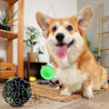 Miniatyrbillede 3 af 5: Giggle Bold til Hunde - Multifunktionel Kvækkende Hundefoderbold - Sjov Vinyl Interaktivt Kæledyrslegetøj til Indendørs og Udendørs