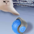 Pikkukuva 2 / 5: Speedy Tail 2.0, Speedy Tail -kissan lelu, Speedy Tail 2.0 -kissan lelu, Automaattinen liikkuva lelu bule
