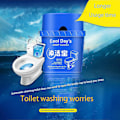 Miniatyrbillede 4 af 4: Toilet Cisternrenser Loo Freshener 2000 Flush Plet &amp; Kalkfjerner