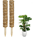 Miniatyrbild 1 av 4: Moss pinne, 2 stycken 40 cm Monstera klätterhjälp, förlängningsbar (C)