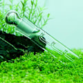 Miniatyrbillede 5 af 5: Glas 3-huls Akvarium Skadedyrsfanger Fiskekum Planaria Igelorm Ormfælde Rengøringsmiddel Qinhai