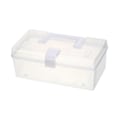 Miniatyrbild 1 av 2: Transparent Förvaringslåda Sybehörsbehållare för Vardagsrum Fiske (C)