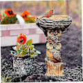 Miniatyrbillede 3 af 5: Resin ugle badekar, fuglebad, eventyrhave, ornamenter, skulpturer, havedekoration, springvand, fuglebad (C)