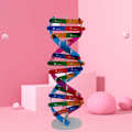 Miniatyrbillede 4 af 5: QingHai DNA Modeller Dobbelt Helix Struktur Undervisningslegetøj ABS Dobbelt Helix DIY Menneskelige Gener til Biologisk Videnskab