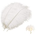 Pikkukuva 2 / 5: Strutsin sulkia 10kpl valkoinen 25-30cm luonnollinen hääkoriste juhlatarvikkeet
