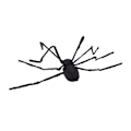 Miniatyrbilde 2 av 5: 125cm Svart Skummel Kjempe Edderkopp Halloween Dekorasjon Elektrisk Stemmestyrt Lysende Edderkopp for Hage Spøkelseshus Fest Veranda Innendørs Utendørs[C]