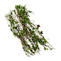 Miniatyrbild 5 av 5: Miniatyr Modell Vinranka Scen Simulerad Modell av DIY Miniatyr Scen Material (C)