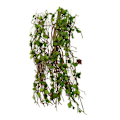 Miniatyrbild 1 av 5: Miniatyr Modell Vinranka Scen Simulerad Modell av DIY Miniatyr Scen Material (C)
