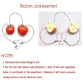 Miniatyrbild 3 av 5: Fruktbatteri Vetenskapsexperiment Kit för Hemundervisning Leksak, Citron Potatis Batteri Fysik Undervisningsexperiment 3 Set