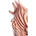 Miniatyrbilde 4 av 5: Beetlejuice Adam Maske for Menn