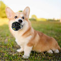 Miniatyrbillede 4 af 5: Giggle Bold til Hunde - Multifunktionel Kvækkende Hundefoderbold - Sjov Vinyl Interaktivt Kæledyrslegetøj til Indendørs og Udendørs