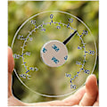 Miniatyrbild 5 av 5: Utomhus Termometer, Vattentät Fönstertermometer Macaron Transparent Utomhus Trädgårdstermometer-