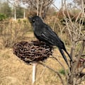 Miniatyrbillede 4 af 5: 6 x Halloween Dekoration Kråke Kunstig Ravn Kråke Med Fjær Sort Fugl