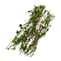 Miniatyrbild 3 av 5: Miniatyr Modell Vinranka Scen Simulerad Modell av DIY Miniatyr Scen Material (C)