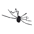 Miniatyrbilde 1 av 5: 125cm Svart Skummel Kjempe Edderkopp Halloween Dekorasjon Elektrisk Stemmestyrt Lysende Edderkopp for Hage Spøkelseshus Fest Veranda Innendørs Utendørs[C]