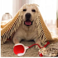Miniatyrbild 7 av 7: Rullande Boll, tuggboll för Hundar och katter Tuggbboll för Hundar, Interaktiv Hund Smart Boll Leksak, Interaktiv Katt Boll Leksak, 360° Smart