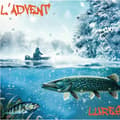 Fiskekalender 2026 til voksne - 24 dages overraskelsesfiskeboks Kødædende【Kombination】 Carnivorous【Combination】
