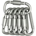 6 delar D-ring låskarbin i aluminiumlegering, lätt men stark