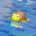 Miniatyrbillede 3 af 5: Flydende Pool Termometer, Letlæselig til Vandtemperatur med Snor til Udendørs og Indendørs Swimmingpools og Spabade