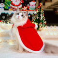Miniatyrbild 1 av 5: Hundkläder för Jul Katt Jul Semesterdräkt Röd Julkapp Huvad Kappa Vinter Ytterkläder M