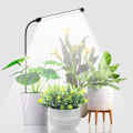 Miniatyrbillede 1 af 5: Vækstlys til indendørs plantedyrkning, fuldspektret plantelampe til indendørs plantevækst, LED små vækstlys, fleksibel svanehals, 1 stk