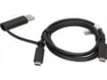 Lenovo USB-C to USB-C Cable with USB-A Adapter