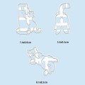 Miniatyrbilde 4 av 5: 1/3 stk Kattkjeksformer Kitty Butt Form DIY Kjekskjeksform Stempel Bakeware Hfmqv -ES 3PCS