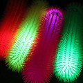 Miniatyrbilde 4 av 5: 1 stk Light-up Caterpillar Stress Relief Leketøy Stretchy Fidget Nudler String Fargerike sensoriske leker Luminous Worm Fuzzy Up Baller