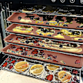 Miniatyrbillede 5 af 5: 4 stk Iicone Dehydrator Måtte med kant - Iikone Heet Compabeautifye, Nontick Iicone Iner