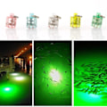 Pikkukuva 5 / 5: Naievear Kalastusvalon Mini Sylinterimäinen Led Kolmeväri Vilkkuva Kalastuslamppu Onkimiseen Multicolor