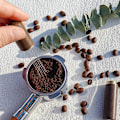 Miniatyrbild 4 av 5: Espresso Kaffeomrörare Espresso Distributionsverktyg Portabla Espresso Distributionsverktyg, 6 Nålar Valnötsfärg