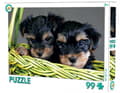 Hundvalpar Pussel 99 bitar – 33 x 22 cm