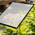 Miniatyrbild 4 av 6: Vattentät transparent presenning med öljetter, presenning för trädgårdsmöbler, kan användas utomhus, regnsäker, växtisolering, dammtät, 2x1m