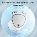 Miniatyrbild 5 av 6: Mikroström ansiktslyftningsinstrument, USB elektrisk dubbelrulle ansiktsmassageapparat