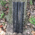 Miniatyrbilde 4 av 5: 3 stk Trebarkbeskytter som enkelt kan utvides Slitebestandig værbestandig landskapsplanter Saplings stammebeskyttere for hage Jikaix（Sort）