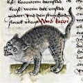 Miniatyrbild 3 av 5: Weird Medieval Cats Calendar, Funny Weird Medieval Calendar 2024, Walk Weird Medieval Calendar（Som visat）