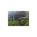 Miniatyrbilde 2 av 3: AQUATIC PLUS Sugeslangesett 7 m - SVART Black