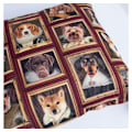 Miniatyrbillede 3 af 3: Pude HOLLY 45x45cm, hunde i ramme