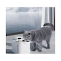 Miniatyrbillede 4 af 4: PETKIT, Filter til Eversweet Max, 5 stk