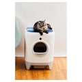 Miniatyrbilde 3 av 3: PETKIT, Cat Cooling Pad for sommer for PURA X