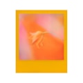 Pikkukuva 2 / 7: Polaroid i-Type Color Frame Edition