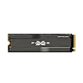 Miniatyrbillede 1 af 4: Silicon Power, SSD, XD80