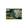 Miniatyrbilde 3 av 3: Hagegjerde skjermlist 19cm x 35m, 450g/m² grønn Green