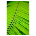 Miniatyrbillede 7 af 9: Fujinon XF 50mm f/2 R WR objektiv, sort