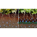 Miniatyrbilde 3 av 3: Flora vannsparingssystem (sett 10 stk) Green