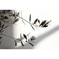 Miniatyrbillede 6 af 8: Fujifilm XF 16mm f/2.8 R WR objektiv, sort