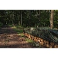 Miniatyrbilde 5 av 7: Set med 5 produkter. Presenning CAMOforest 2 x 3m 90g/m²