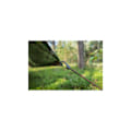 Miniatyrbillede 7 af 7: Presenning CAMOforest 3 x 3m 90g/m² Green