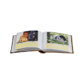 Miniatyrbilde 2 av 3: Album B 10x15/100M Blomst, bronse 2stk